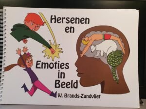 Hersenen en emoties in beeld