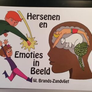 Hersenen en emoties in beeld
