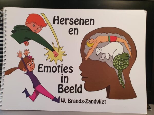 Hersenen en emoties in beeld