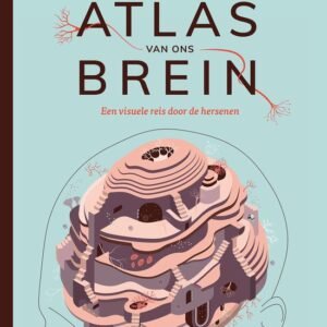 Alles wat je denkt en doet, bij welk lied je huilt en zelfs van wie je houdt, wordt gestuurd door die grote machine in je hoofd: jouw brein. Onze hersenen blijven in vele opzichten een mysterie, maar we leren snel bij.