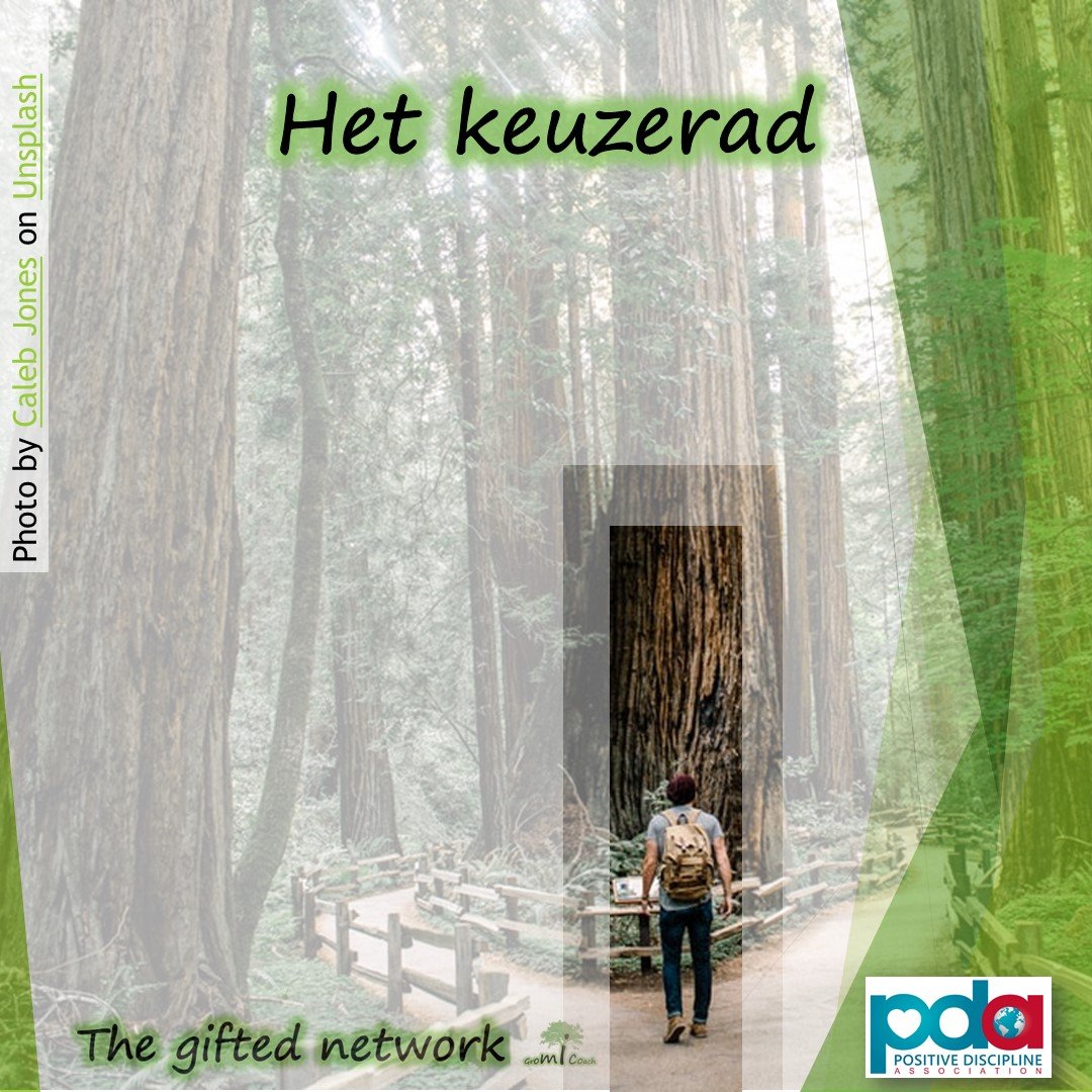 Het keuzerad - Positive discipline