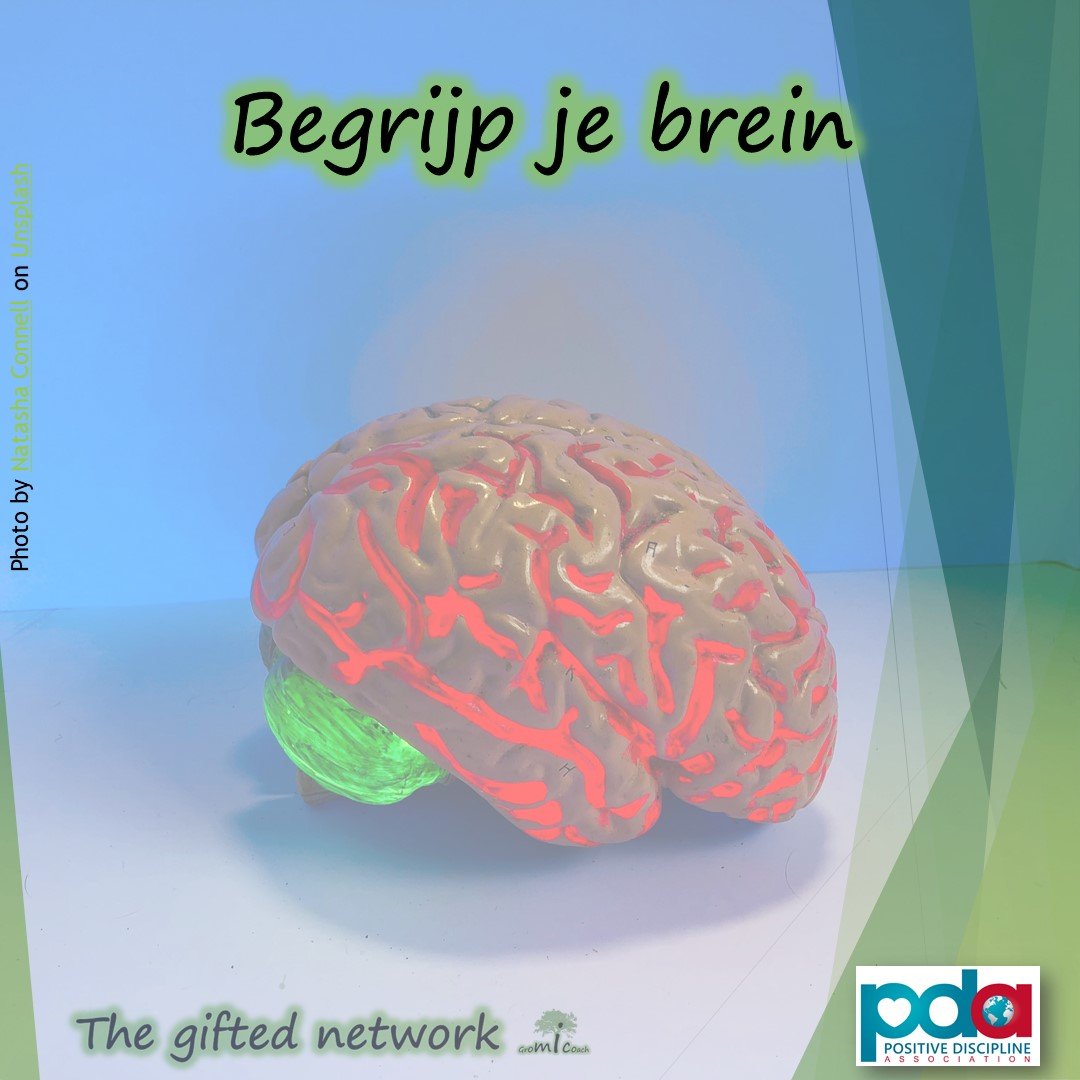 Begrijp je brein - Positive discipline