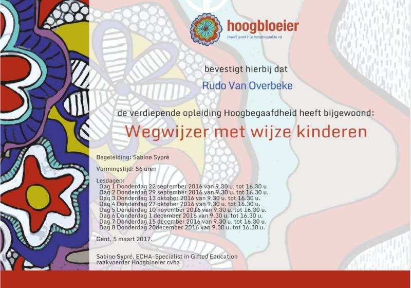Rudo Van Overbeke - Expert Hoogbegaafdheid - Hoogbloeier