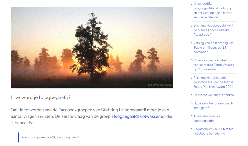 Hoe word je hoogbegaafd?